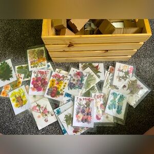 Dried pressed flowers